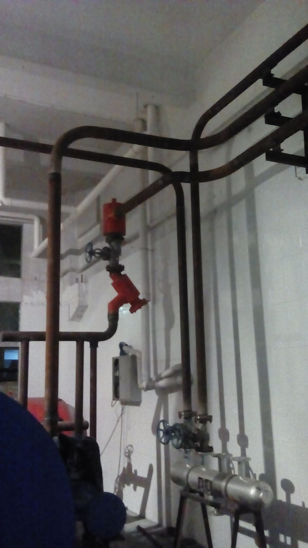 綠雪生物工程深圳鍋爐設備及車間管道安裝工程（圖二）